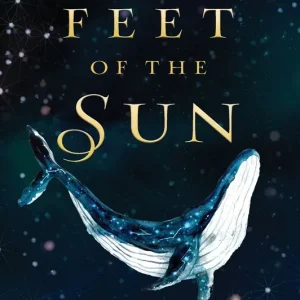 Brand New At the Feet of the Sun