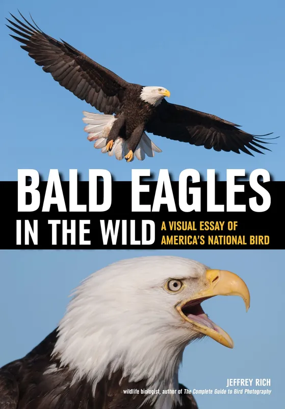 Hot Deal Bald Eagles In The Wild: A Visual Essay of America's National Bird