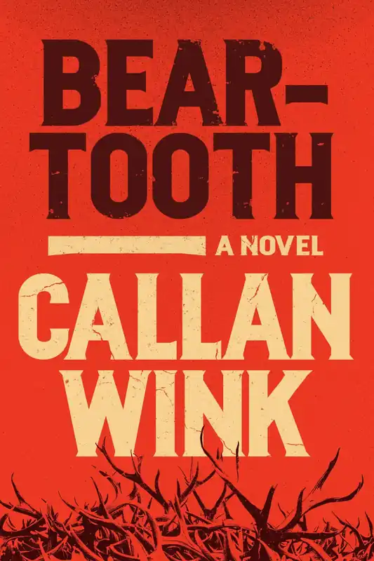 Wholesale Beartooth: A Novel