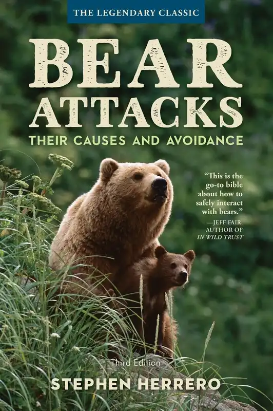 Reduced Price Bear Attacks: Their Causes and Avoidance