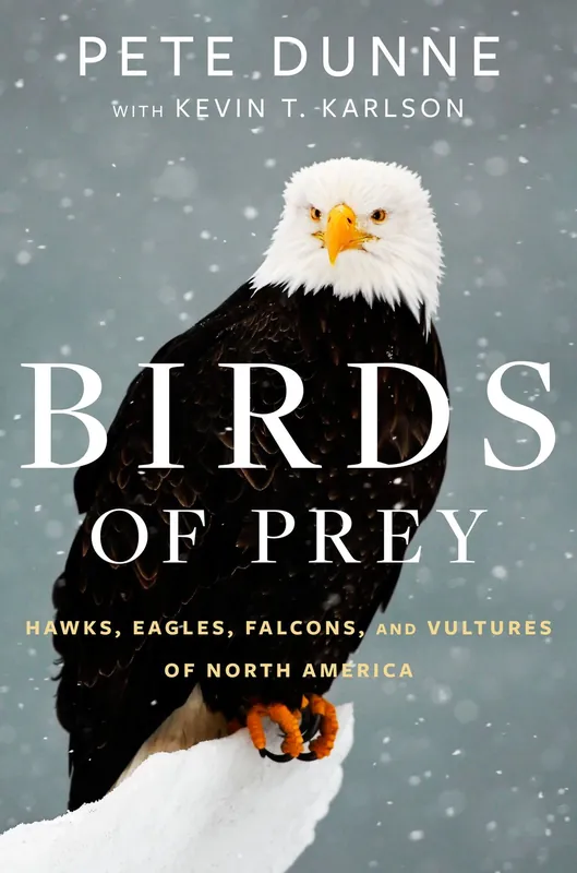 Big Sale Birds Of Prey: Hawks, Eagles, Falcons, and Vultures of North America