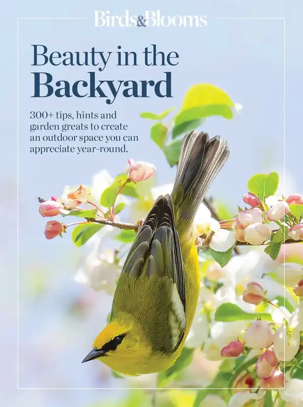 Instant Buy Birds & Blooms Beauty in the Backyard: 300+ TIPS, HINTS AND GARDEN GREATS TO CREATE AN OUTDOOR SPACE YOU CAN APPRECIATE YEAR-ROUND