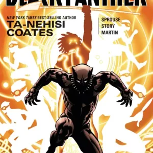 Holiday Sale Black Panther: A Nation Under Our Feet, Book 2
