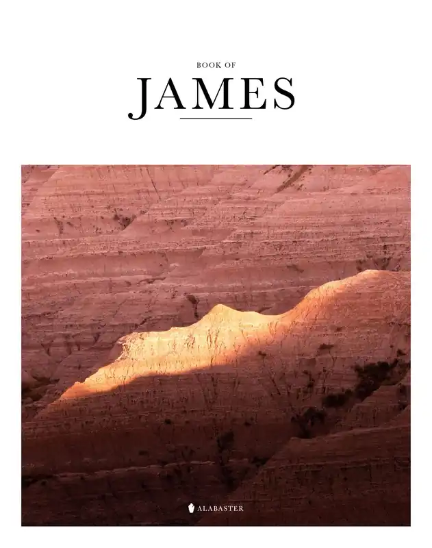 Exclusive Book of James (SC,NLT)