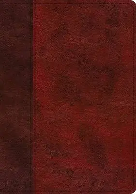 Editor’s Pick ESV Single Column Journaling Bible, Large Print (Trutone, Burgundy/Red, Timeless Design)