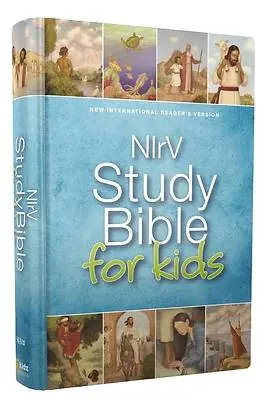 Bulk Order NIRV Study Bible for Kids