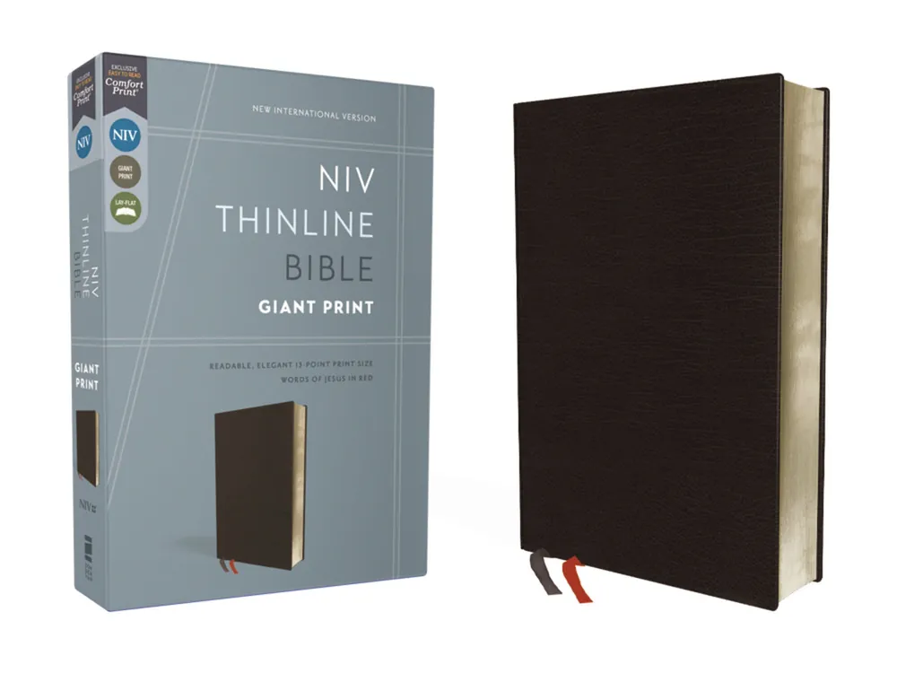 Bulk Order NIV Thinline Bible Giant Print (Black Bonded Leather)