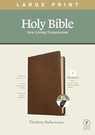 Don’t Miss Out NLT Filament Lg Print Thinline Ref Bible Rustic Brown IDX