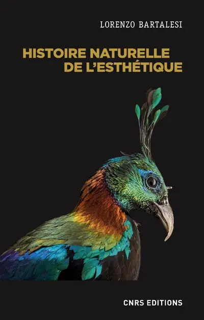 Histoire Naturelle de L'esthétique Top Rated