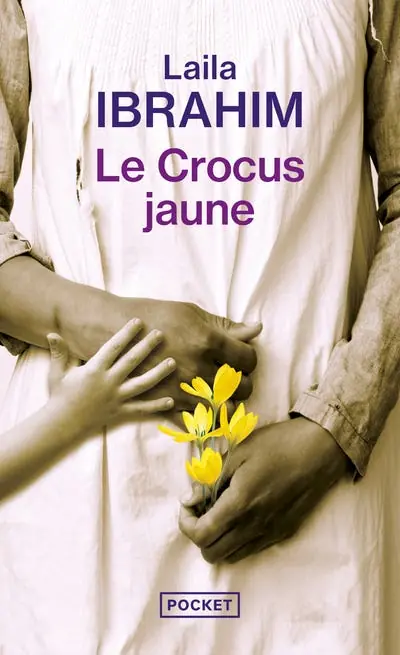 Le Crocus Jaune Modern