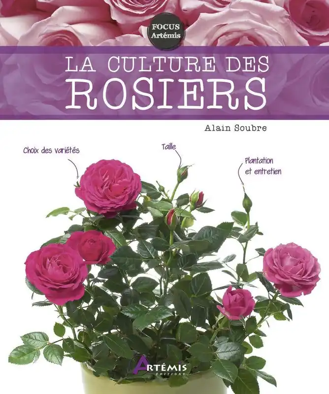 Fan Favorite La Culture des Rosiers