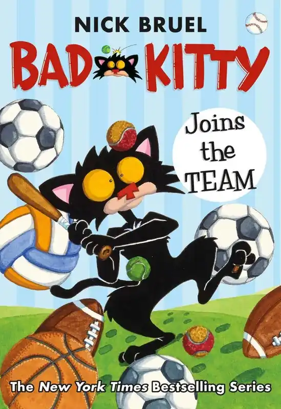 Next Day Delivery Bad Kitty Joins The Team